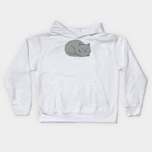 Grey Cat Kids Hoodie